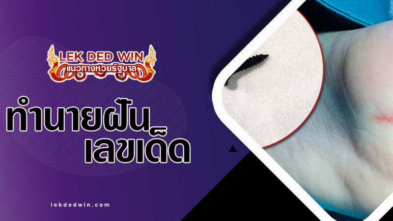 ทำนายฝันของตำฝ่าเท้า-พร้อมเลขเด็ด
