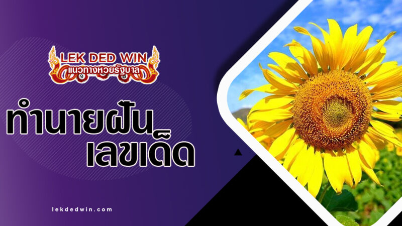 ทำนายฝันดอกไม้บาน-พร้อมเลขเด็ด