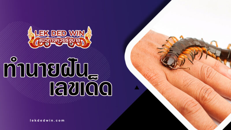 ทำนายฝันตะขาบกัด-พร้อมเลขเด็ด
