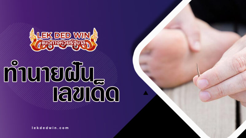 ทำนายฝันไม้ทิ่มมือ-พร้อมเลขเด็ด