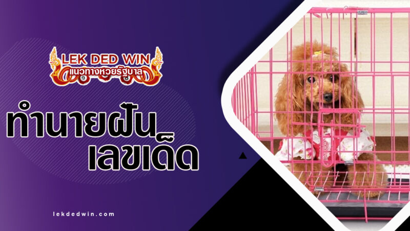 ทำนายฝันจับกรงใส่สัตว์-พร้อมเลขเด็ด