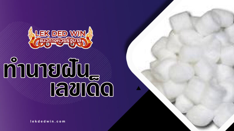 ทำนายฝันจับปุยนุ่น-พร้อมเลขเด็ด
