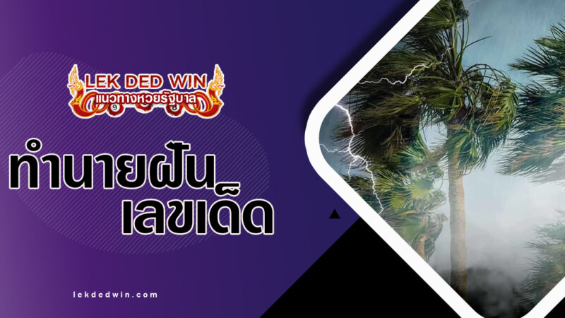 ทำนายฝันพายุพัดแรง-พร้อมเลขเด็ด
