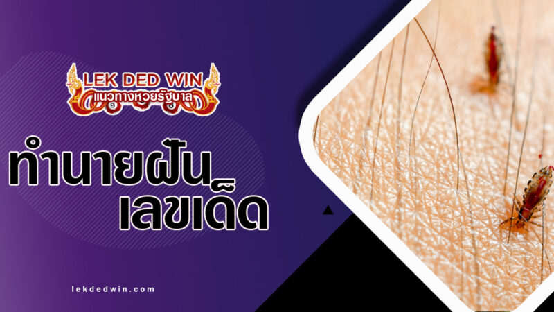 ทำนายฝันเหาขึ้นหัว-พร้อมเลขเด็ด