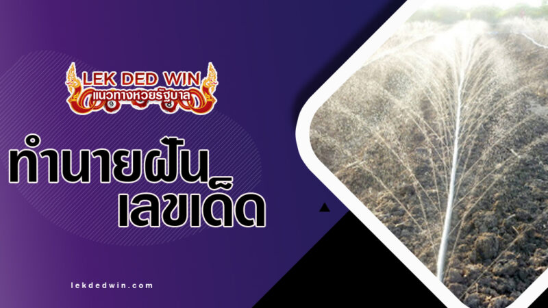 ทำนายฝันเห็นสายน้ำพุ-พร้อมเลขเด็ด