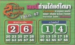 หวยมังกรเมรัย 1/3/67