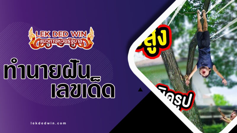 ทำนายฝันตกต้นไม้-พร้อมเลขเด็ด