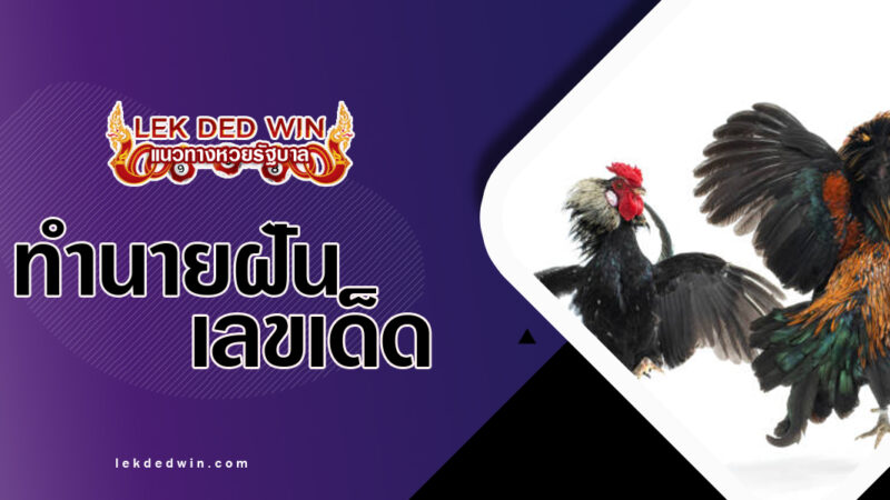 ทำนายฝันดูไก่ชน-พร้อมลขเด็ด