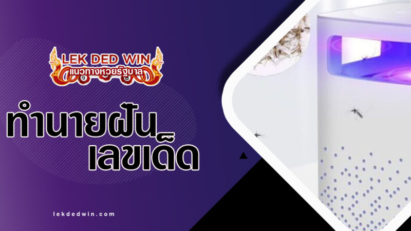 ทำนายฝันเครื่องดักจับ-พร้อมเลขเด็ด