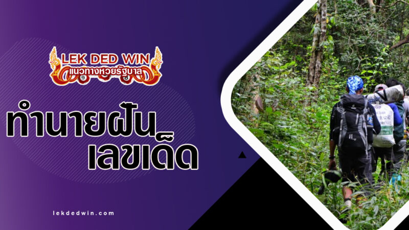 ทำนายฝันเดินป่ารก-พร้อมเลขเด็ด