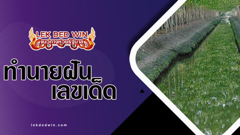 ทำนายฝันเห็นร่องน้ำ-พร้อมเลขเด็ด